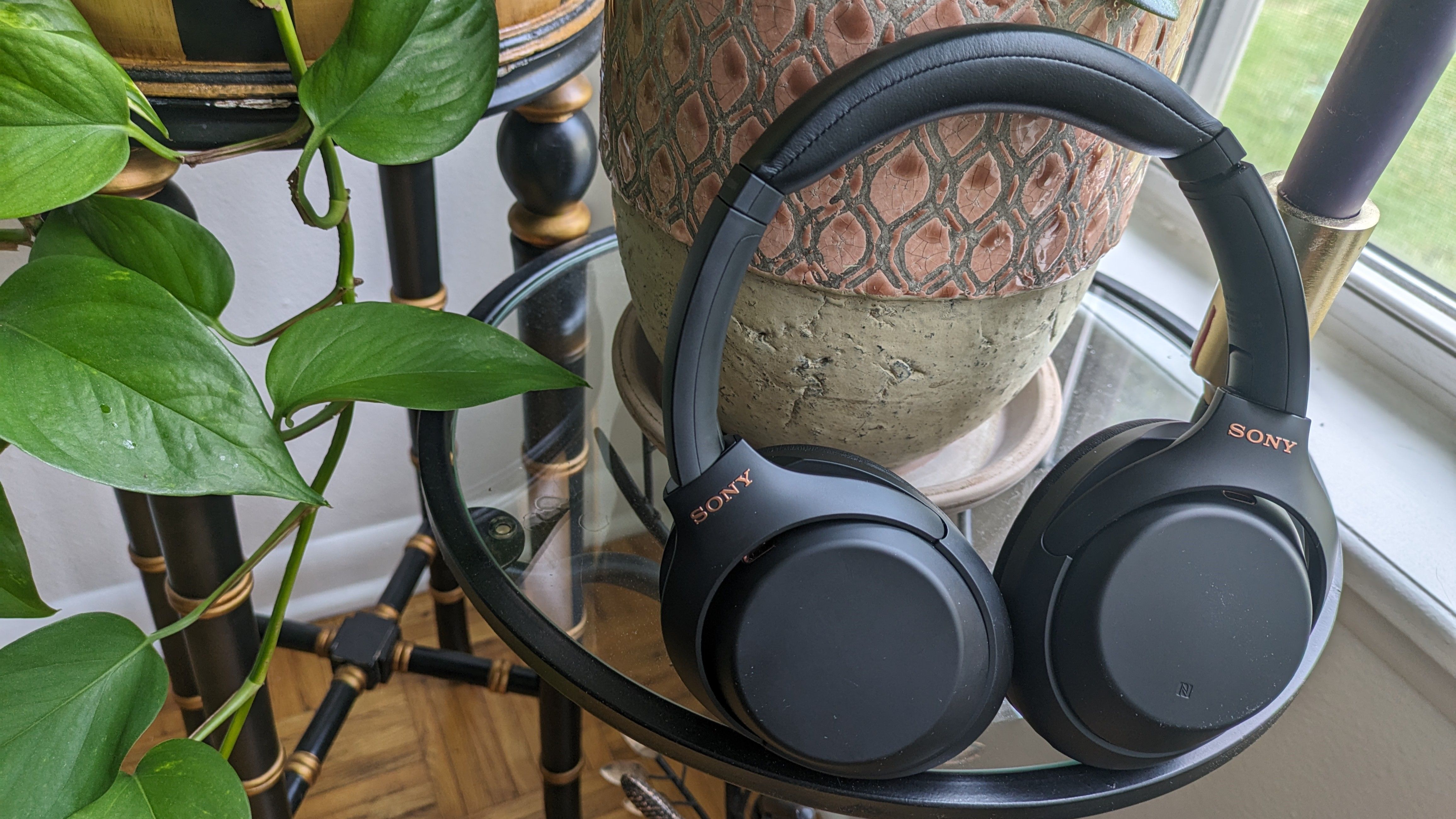 The Sony headphones that I wear every day just scored their
