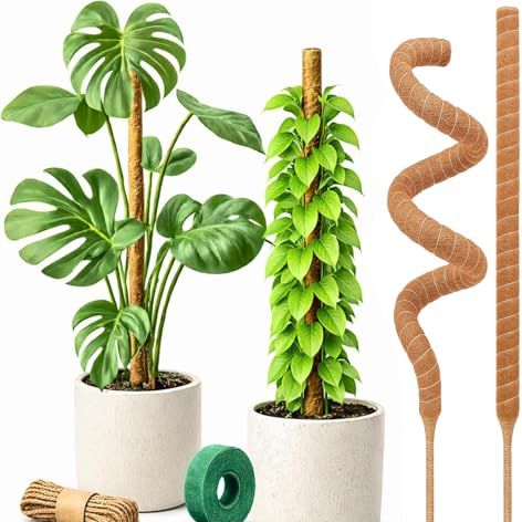 Craft911 Moss Pole Monstera Plant Support &amp;ndash; 2 Pack 28&amp;rdquo; Bendable Moss Pole Monstera Plant Support, Plant Stakes for Indoor Plants, Tall Plant Sticks Support for Climbing Plants