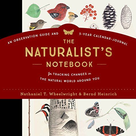 The Naturalist's Notebook: an Observation Guide and 5-Year Calendar-Journal for Tracking Changes in the Natural World Around You