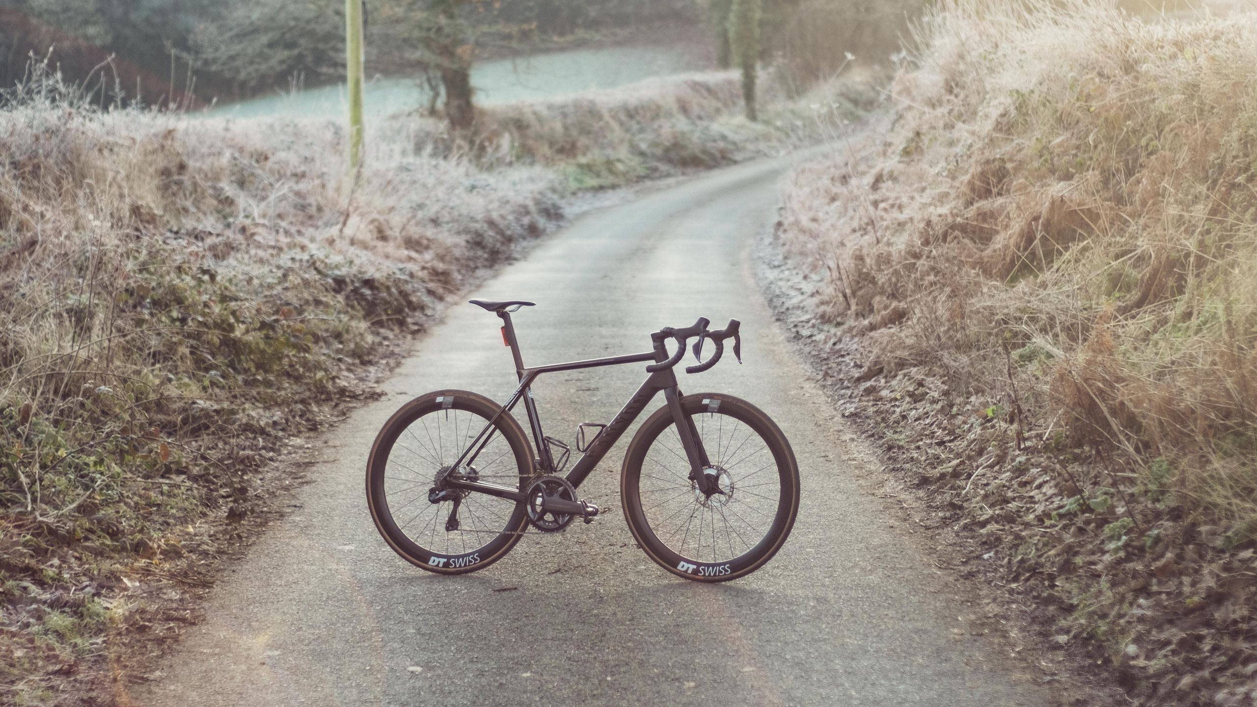 The new Canyon Ultimate has matured into a brilliant all-rounder 