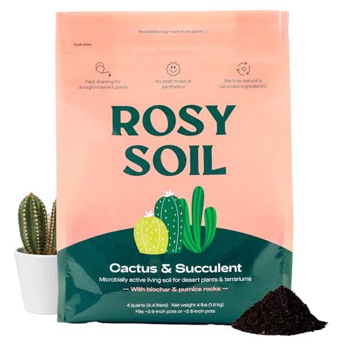 Cactus and Succulent Organic Potting Soil Mix for House Plants - Fast Draining, Root Boosting, Peat-Free, Less Prone to Gnats - Drought-Tolerant - Growth of Aloe Vera, Cacti and Indoor Succulents- 4qt