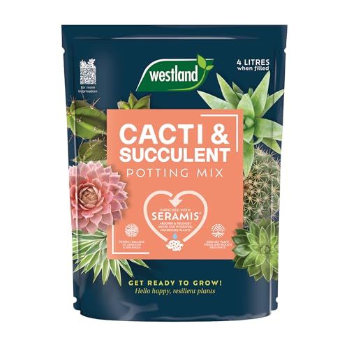 Westland Cacti &amp;amp; Succulent Potting Mix 4l Peat Free Soil