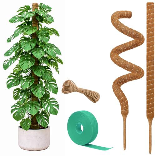 Craft911 Moss Pole Monstera Plant Support &amp;ndash; 2 Pack 28&amp;rdquo; Bendable Moss Pole Monstera Plant Support, Plant Stakes for Indoor Plants, Tall Plant Sticks Support for Climbing Plants