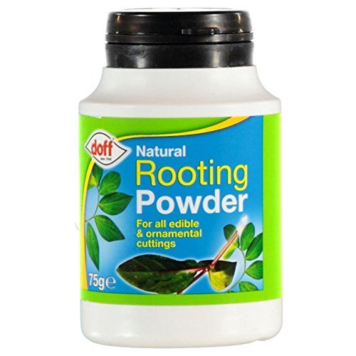 2 X Doff&amp;reg; Natrural Rooting Powder 75g - Help New Roots on Cuttings and Promotes Strong Healthy Roots