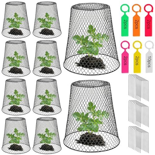 Chicken Wire Cloche Plant Covers - Garden Plant Cloche Metal Heavy Duty Plant Protectors From Animals for Keeping Bunnies Chicken Squirrels Birds Other Out (10, Black)