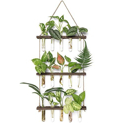 Mkono Plant Propagation Tubes, 3 Tiered Wall Hanging Terrarium With Wooden Stand Mini Test Tube Flower Vase Glass Planter Stations for Hydroponic Cutting Home Garden Office Decor Plant Lover Gift