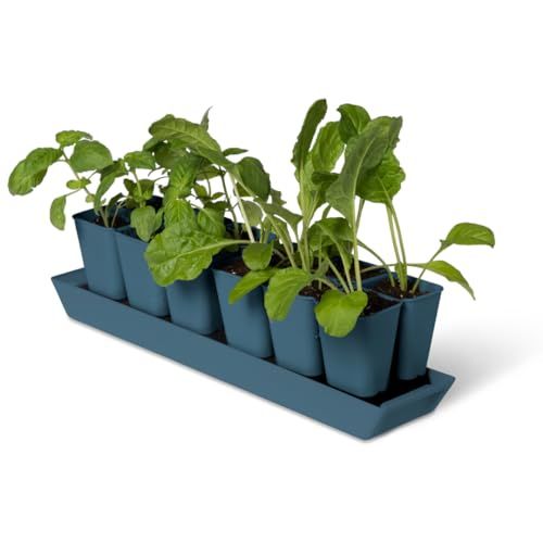 Gardener's Supply Company Gardener's Best&amp;reg; Xl Seed Starting Kit | Durable and Reusable Self-Watering Deep Root Seed Starting Tray for Quick Germination - Blue