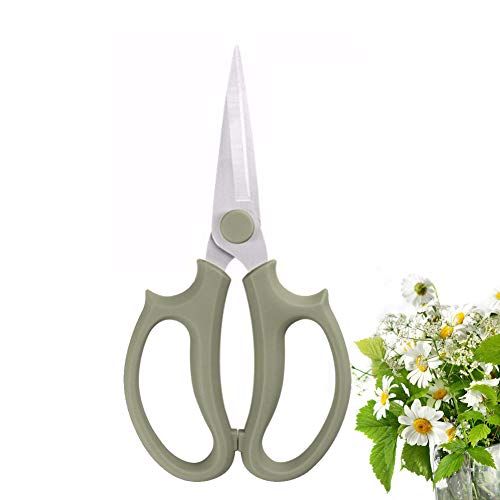 Leize Flower Scissors, Premium Thickened Stainless Steel Floral Shears, Strong Pruner for Flowers, Branches and Leaves (grey Green Slender)