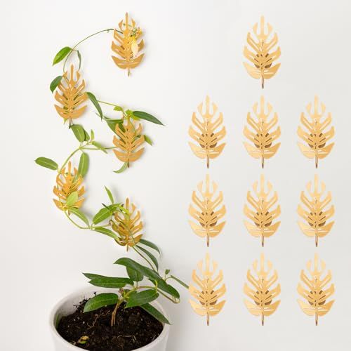 Goooxim 15 Pack Money Plant Clips for Wall - Indoor Pothos Plant Support Clips for Climbing Vines and Orchids, Ideal for Wall Gardening &amp;amp; Plant Training, Durable Leaf Shape Design