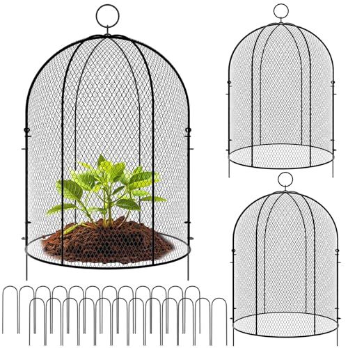 Novabright 2 Pack Garden Cloches for Plants 12" X 16" With Stakes &amp;amp; Zip Ties, Plant Covers From Animals Large Metal Mesh Chicken Wire Cloche Plant Protector Cage for Vegetable Garden Outdoor (black)