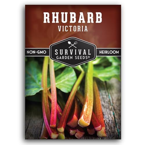 Victoria Rhubarb Seeds for Planting - Heirloom Perennial Vegetable With Tart Red Stalks - Cold Hardy Plants for Home Gardens - Survival Garden Seeds (1 Pack)