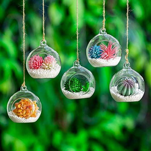 Nuptio 8 Pcs 3.15"/ 8cm Hanging Glass Tealight Holder Globe Plant Terrariums Glass Orbs Air Plants Tea Light Candle Holders Home Decor Indoor Outdoor Garden (with 2 Holes, 6 Pcs + 2 Pcs)