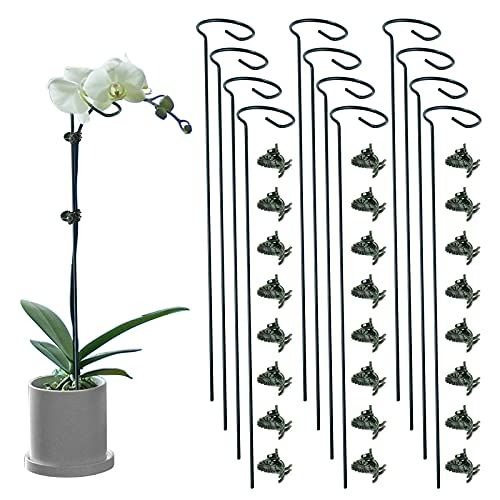 Lunhans 12 Pack Plant Support Stakes With 24 Pcs Plant Clips, Garden Single Stem Support Stake, Plant Cage Support Ring for Indoor Outdoor Flowers Rose Amaryllis Tomatoes Peony Lily Orchid (16 Inch)