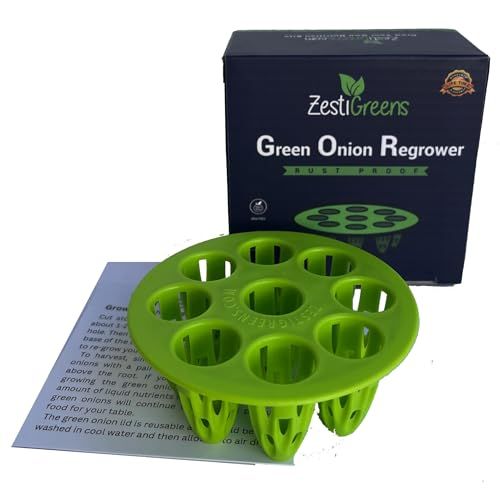 Easiest Green Onion Regrower. Includes Ergonically Designed Lid &amp;amp; Instructions for Beginners. Save Money With This Cool Kitchen Regrower