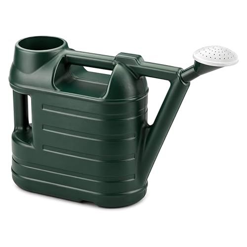 Divchi Watering Can Comes Complete With Sprinkler Rose and Is Ideal for Light Watering Around Your Garden-Green (6.5l)