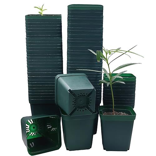 Rootrimmer Square Nursery Seedling Pot 3.5 Inches 90 Pcs, Small Nursery Pot Plastic Thick and Sturdy Seed Start Germination Pot for Plant Propagation and Seeding(green,3.54 Inches, 90pcs)