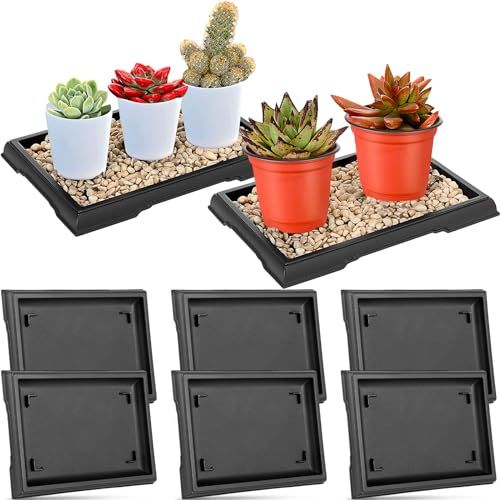 Pinkunn 6 Pcs Bonsai Humidity Tray Drip Tray Plastic Plant Water Catcher Plant Saucers for Indoors and Outdoors Cactus,succulents,bonsai Tree,stone Not Included (7.8 X 5.5 Inch)