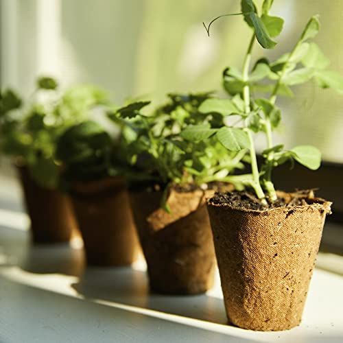Back to the Roots Organic &amp;amp; Plantable Seed Starting Pots (24 Ct)