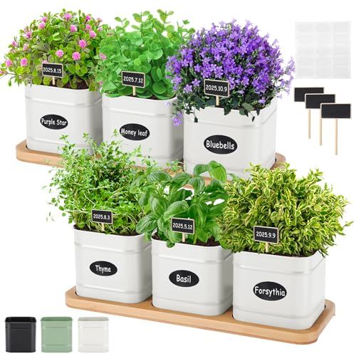 Lemonroad 6 Pcs Indoor Herb Planter Window Herb Pots for Kitchen With Drainage Hole and Bamboo Tray Farmhouse Metal Garden Planter Pot With Diy Label Christmas Plant Gift for Parsley(white,square)