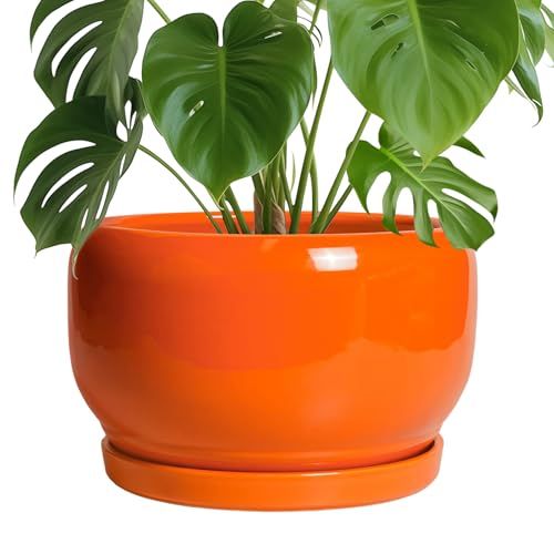 Sqowl Ceramic Planter - 10 Inch Plant Pot With Drainage Hole and Saucer, Round Modern Planter for Indoor Outdoor Plants, Decorative Large Flower Pot, House Decor, Gifts for Women Men, Orange