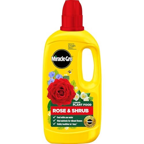 Miracle-Gro Rose &amp;amp; Shrub Concentrated Plant Food, 800 Ml