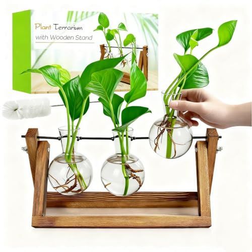 Renmxj Plant Propagation Stations With Wooden Stand &amp;amp; 3 Glass Bulb Vases - Plant Terrarium for Indoor Plants, Home Office Desk Decor, Gardening Gifts for Women Mom, Birthday Gifts for Plants Lovers