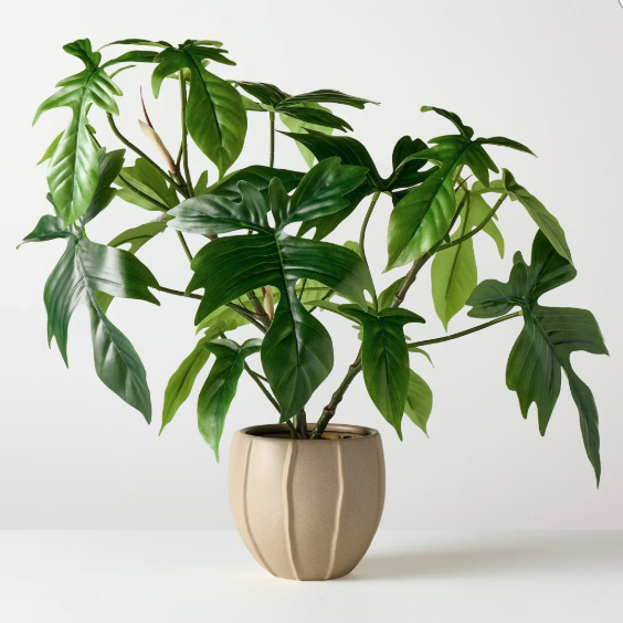 Large Philodendron Pedatum Artificial Plant - Hearth &amp;amp; Hand&amp;trade; with Magnolia