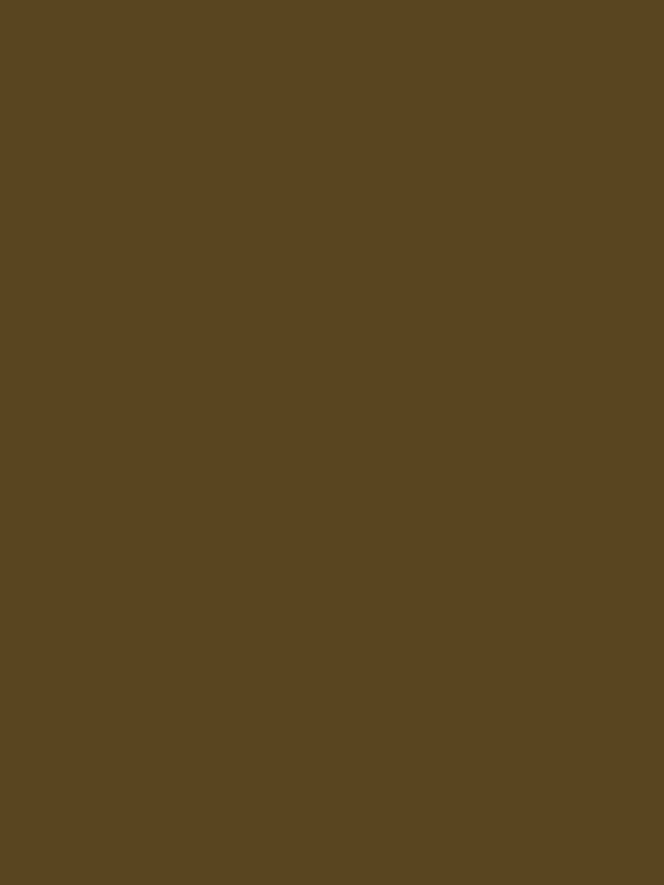 bronze paint swatch
