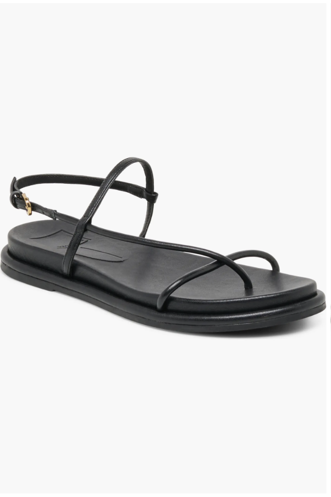 Dolce Vita, Dom Strappy Sandal