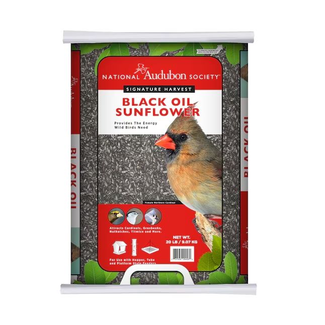 Lowe's black oil sunflower seed