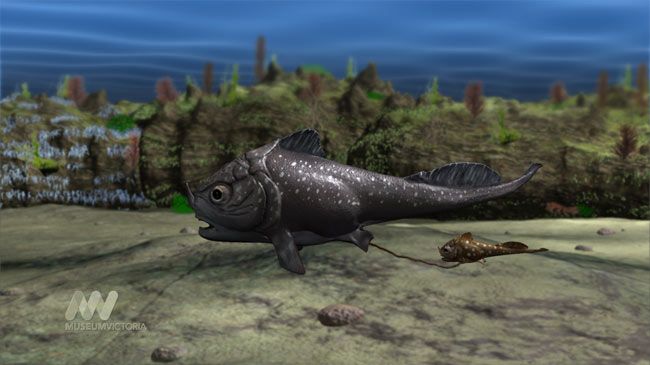 Oldest Embryo Fossil Found | Live Science