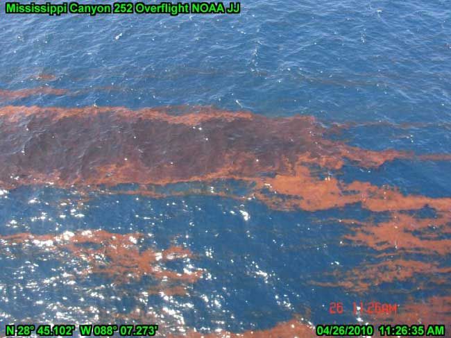 イルミナティカード　Oil Spill　油流出事故 BUcqAgHVUz6CZHdNbMFtkN.jpg