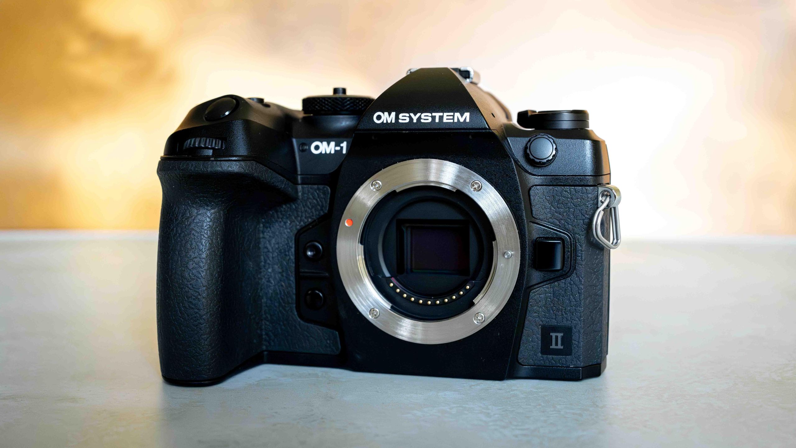 OM System OM-1 Mark II review — the best Micro Four-Thirds camera