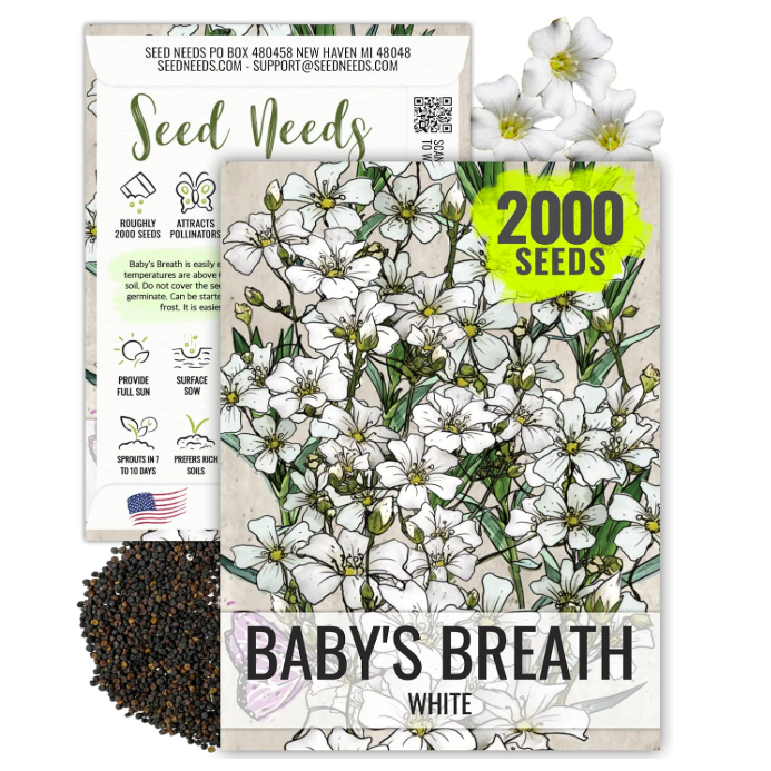 Amazon baby&#039;s breath seeds