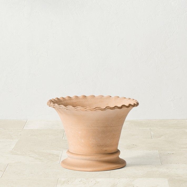 Williams Sonoma Terracotta Scallop Planter
