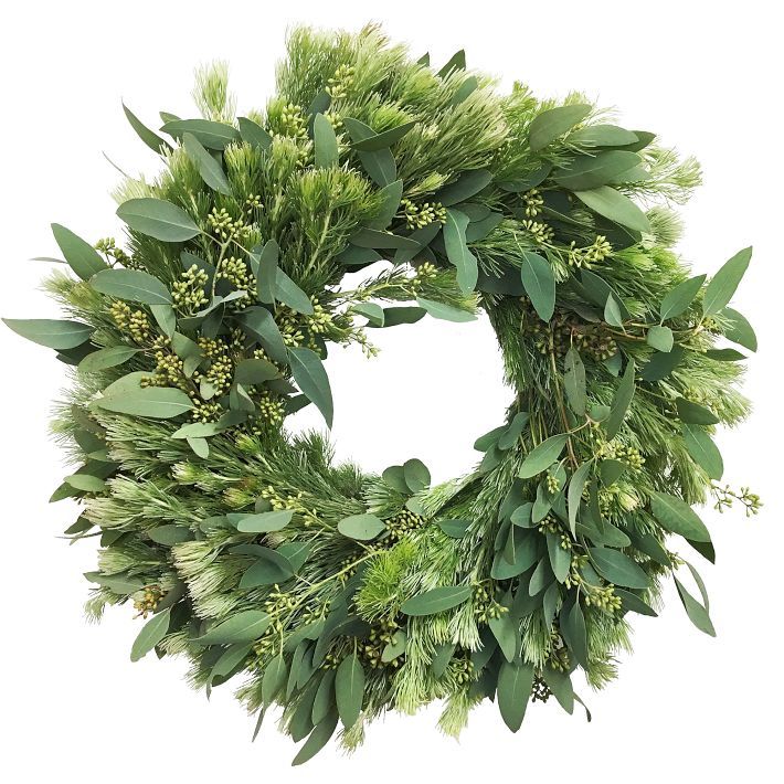 Wooly Bush Eucalyptus Wreath &amp;amp; Garland