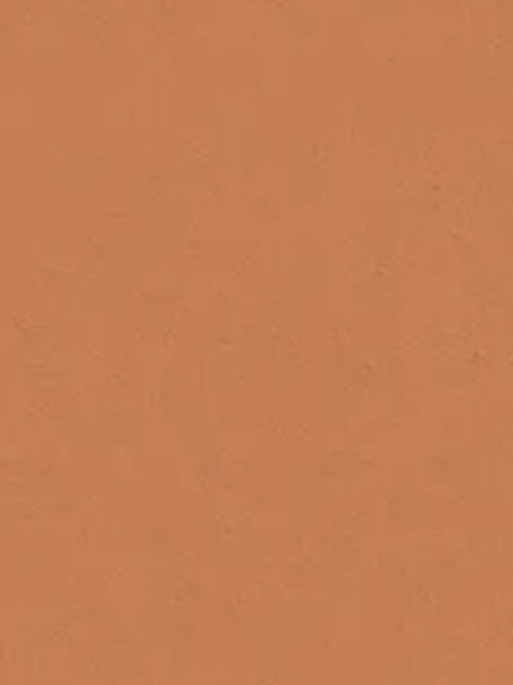 Orange 04 - Lick