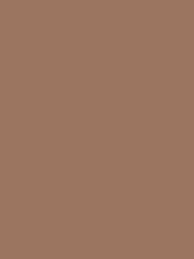 Fox Red paint from Farrow &amp;amp; Ball