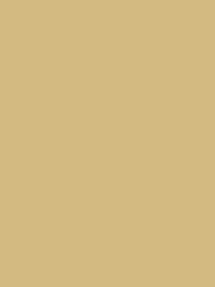 print room yellow paint from Farrow &amp;amp; Ball