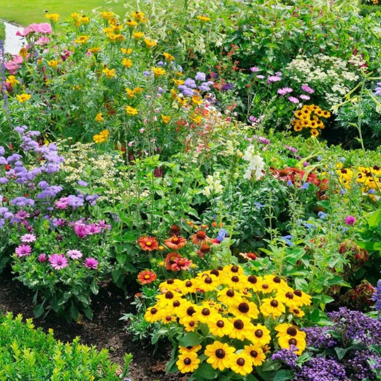 A selection of flowers