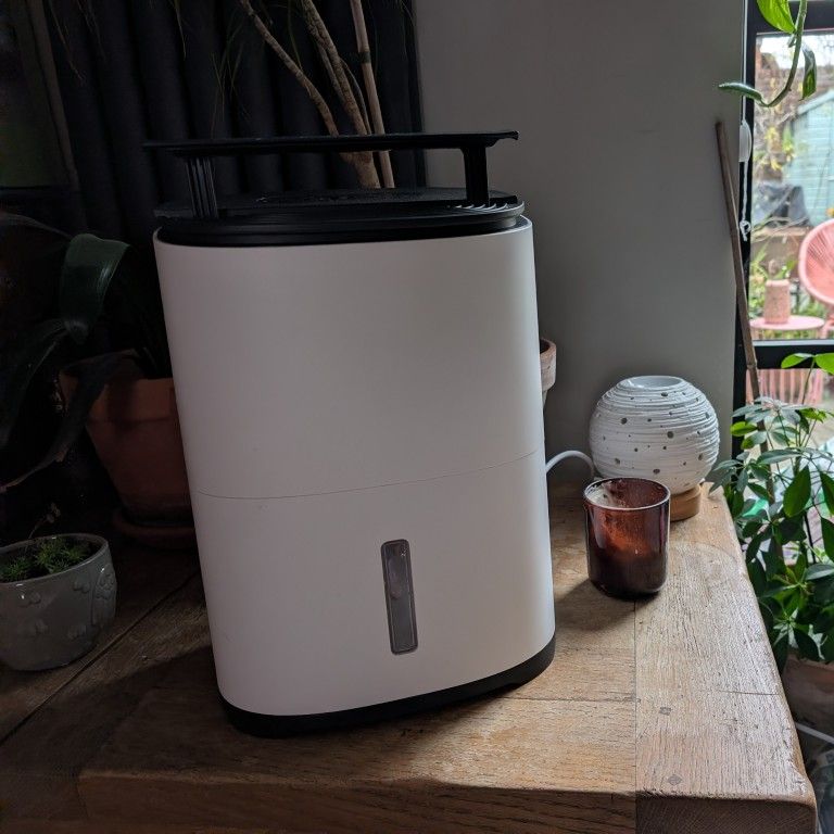 MeacoDry Arete One 6L in at-home testing