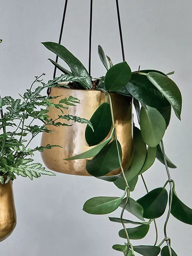 Nkuku Atsu Hanging Brass Planter