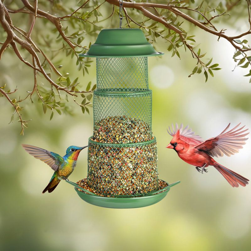Arlmont &amp;amp; Co. Kibwe Squirrel Proof Bird Feeder,metal Mesh Bird Feeders for Outdoors Hanging,gravity Protection Squirrel Proof Wild Bird Feeders With Finch Cardinal Chickadee,green,father's Day Gift &amp;amp; Reviews | Wayfair