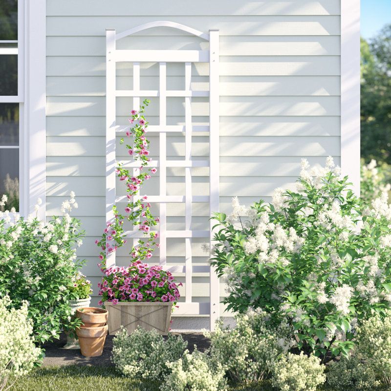 Winston Porter Arrya Vinyl Lattice Panel Trellis &amp;amp; Reviews | Wayfair