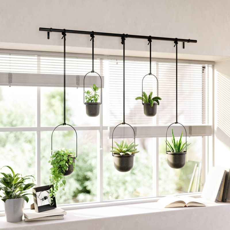 Umbra 5-Piece Plastic Hanging Planter Set &amp;amp; Reviews | Wayfair
