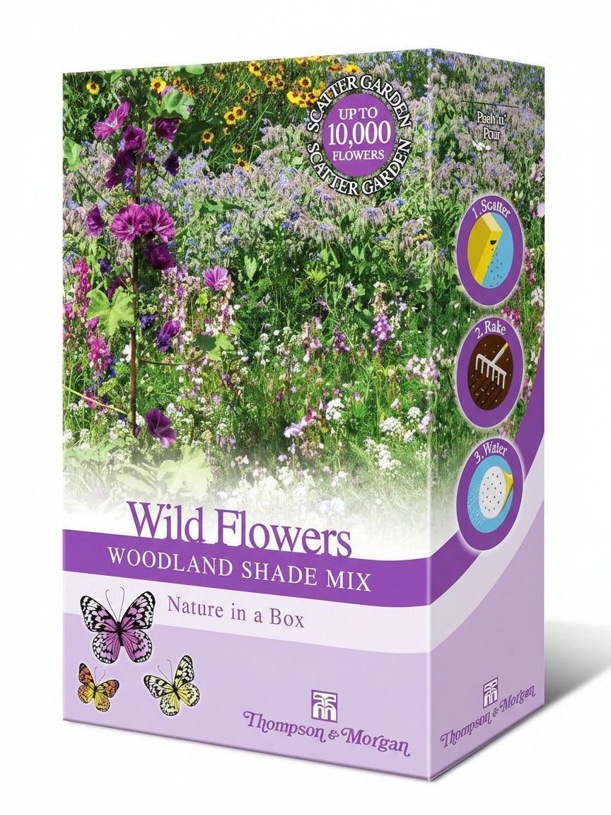 Woodland Garden Wildflower Seeds for Bees and Butterflies