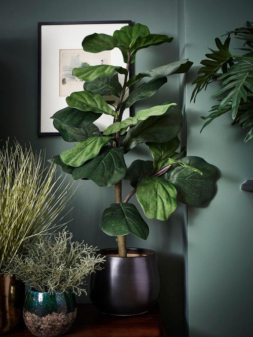 Faux Ficus Lyrata