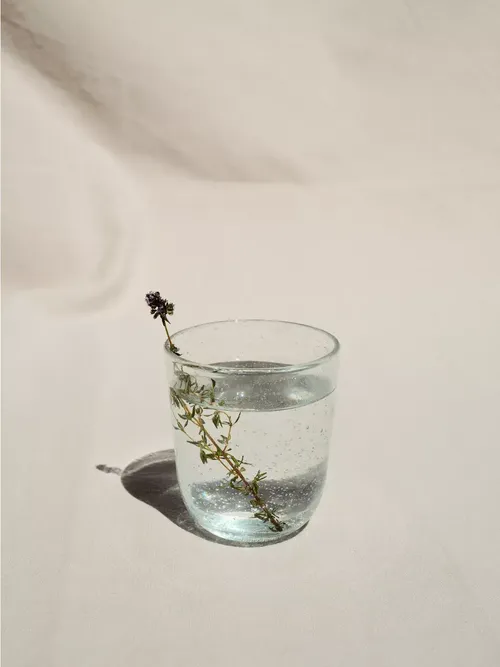 Pure Glass Pascale Naessens Glass