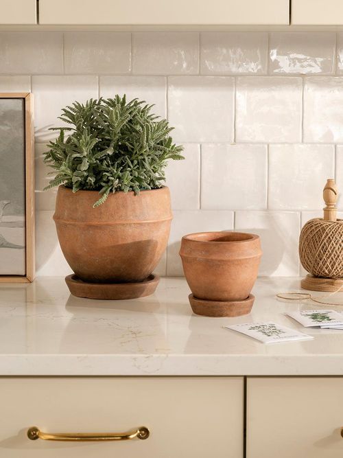 Vichy Terracotta Planter