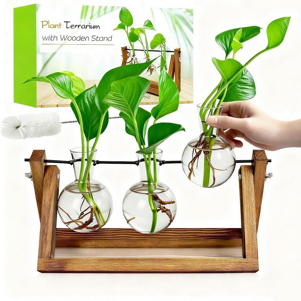 Renmxj Plant Propagation Station, Plant Terrarium With Wooden Stand, Unique Gardening Birthday Gifts for Women Plants Lovers, Home Office Garden Decor Planter - 3 Bulb Glass Vases